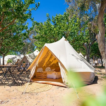 Kampaoh Delta Del Ebro Hotel El Poble Nou del Delta Eksteriør billede